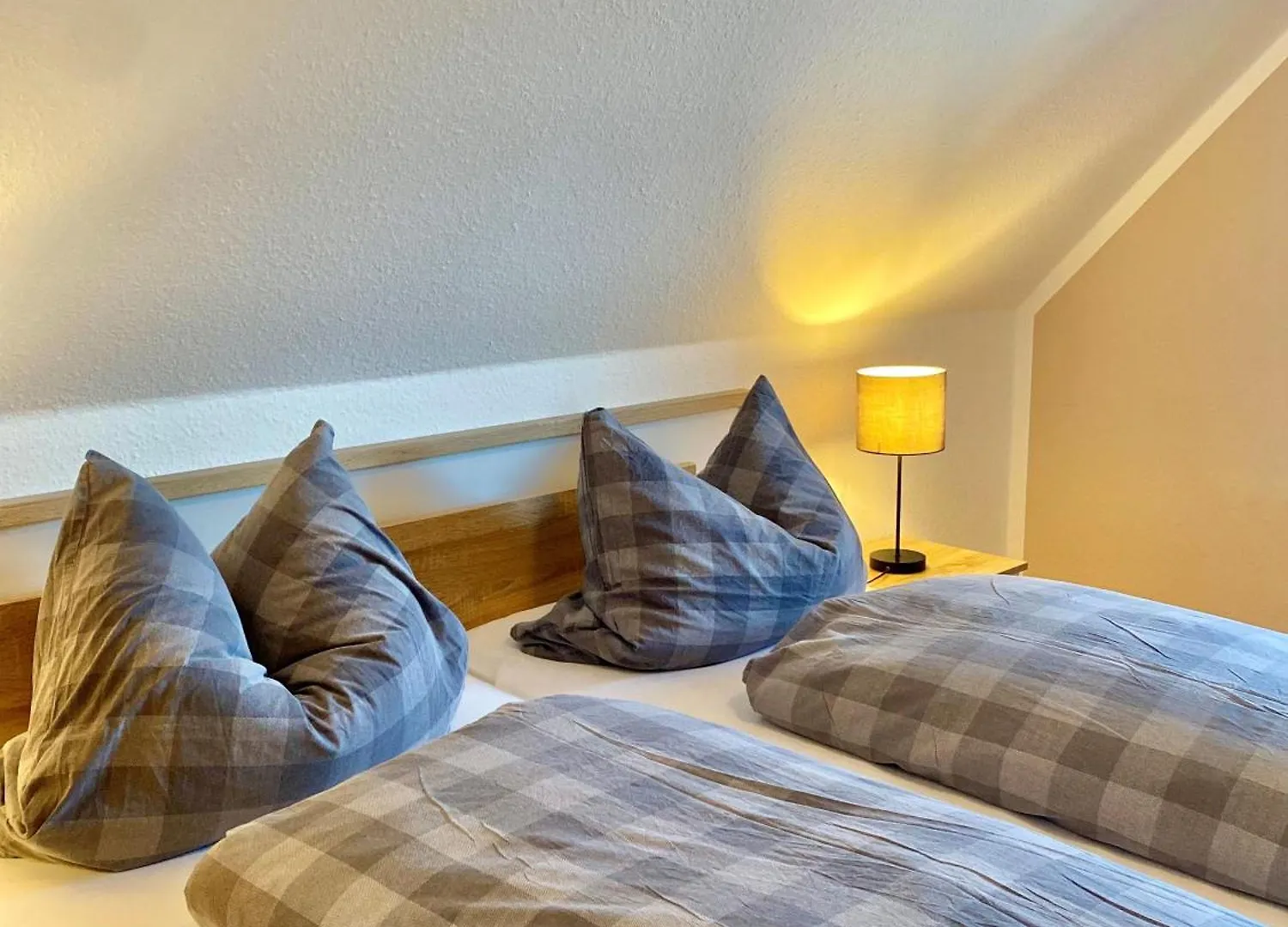 Gaestehaus Frankenwaldhof Bad Steben Apartment